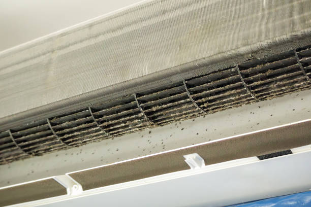 Best Air Duct Cleaning Near Me  in Rockwell Place, TX